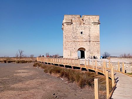 La Tour Carbonni�re