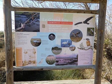 La Tour Carbonni�re