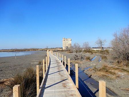 La Tour Carbonni�re