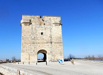 La Tour Carbonni�re