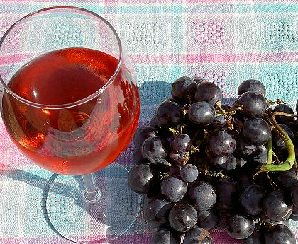 Von der Traube ins Glas