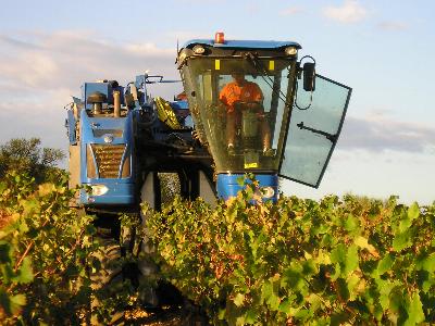 Das Unget�m, der Vollernter