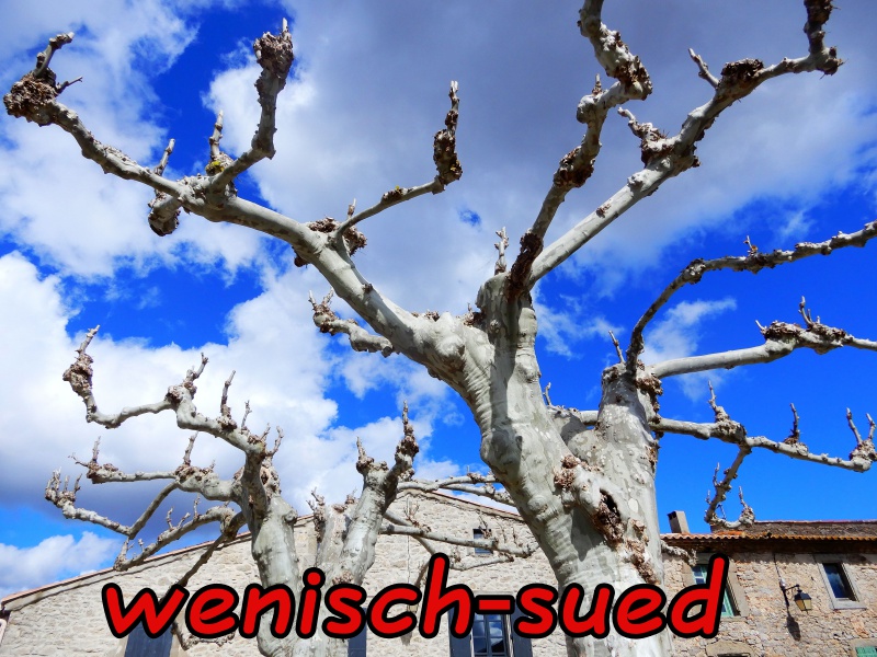 Der Fr�hling kommt