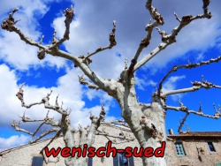 Der Fr�hling kommt