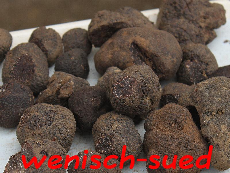 Schwarze Tr�ffel aus S�dfrankreich
