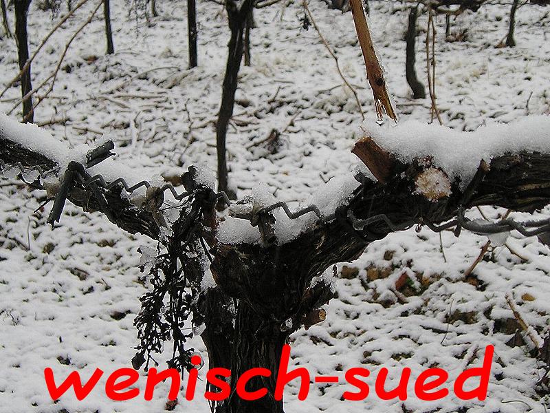 Ungew�hnlich f�r S�dfrankreich!