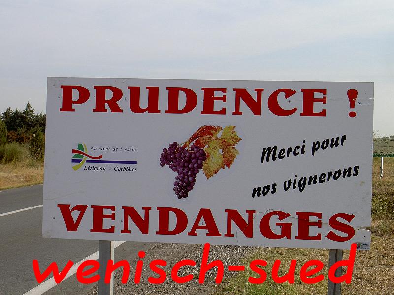 Die Weinernte hat begonnen