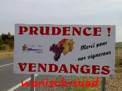 Die Weinernte hat begonnen