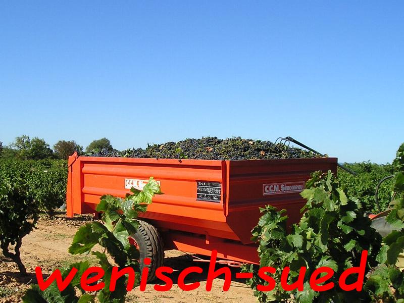 Wie viele Flaschen Wein mag das wohl ergeben?