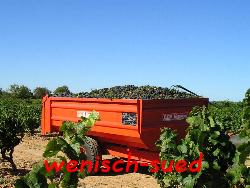 Wie viele Flaschen Wein mag das wohl ergeben?