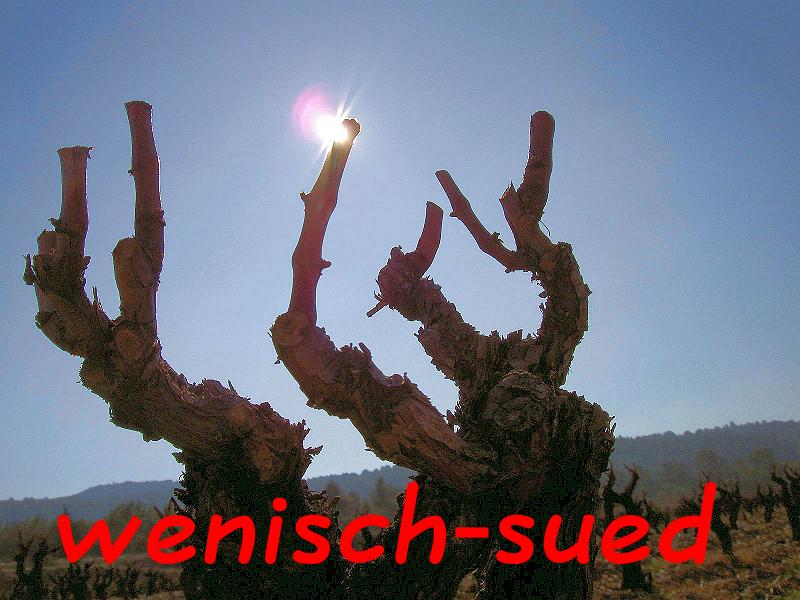 Frisch geschnittener Weinstock