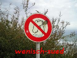 Am Strand von Leucate-Plage