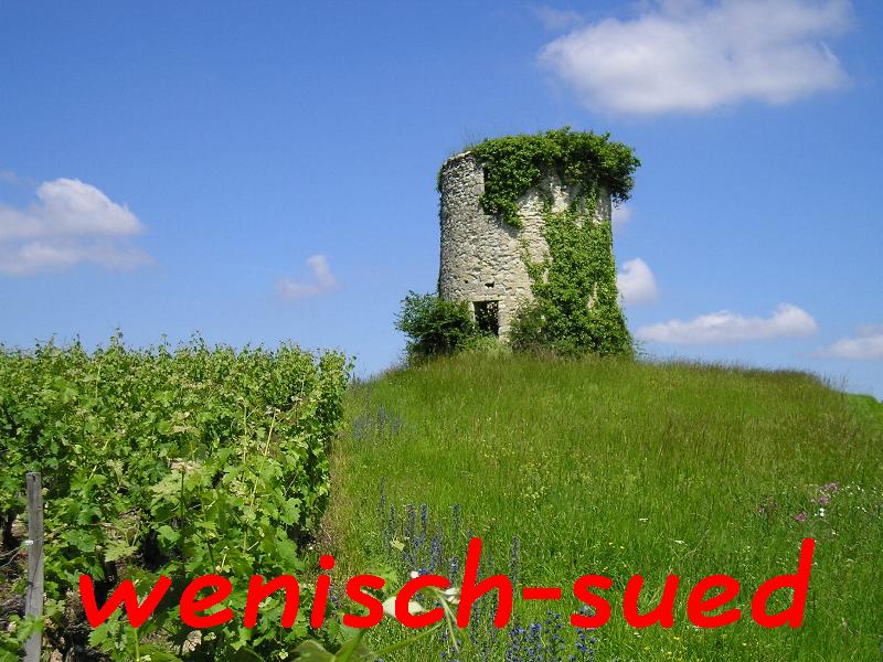 In den Weinfeldern des M�doc