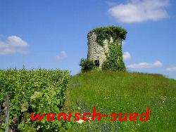 In den Weinfeldern des M�doc