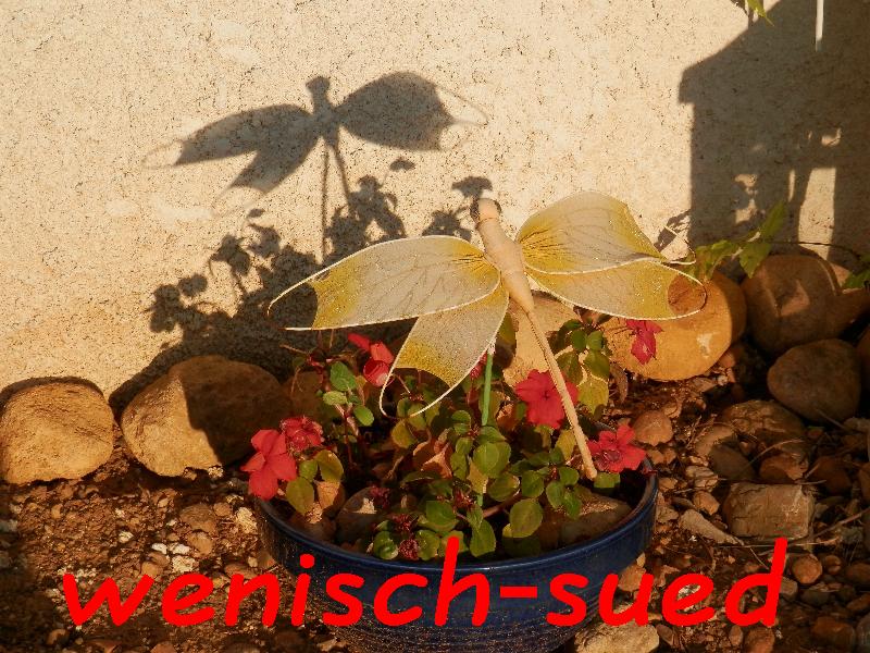 Schatten
