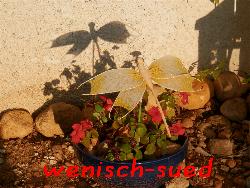 Schatten