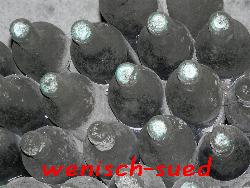 Wie mag der wohl schmecken?