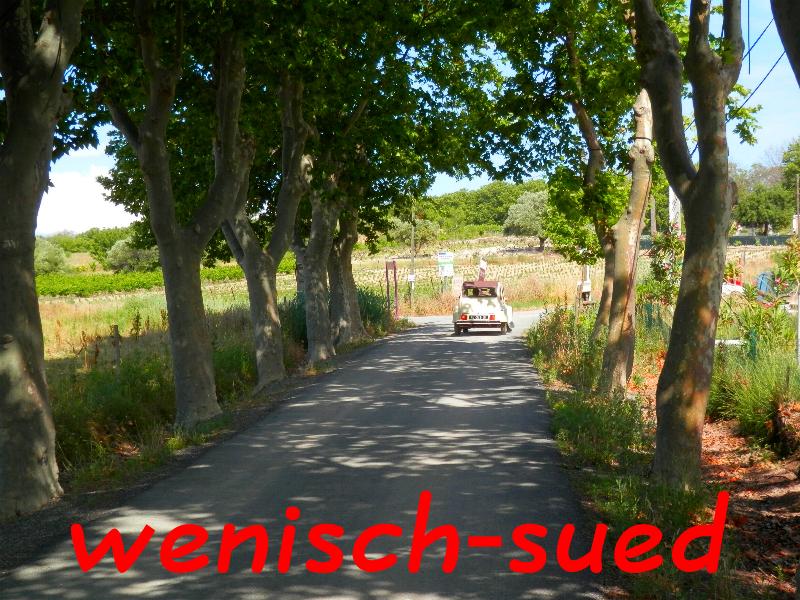 Allee in S�dfrankreich