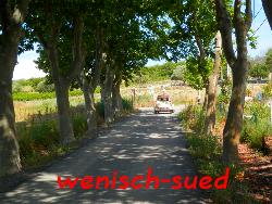 Allee in S�dfrankreich