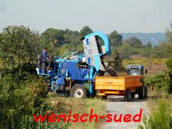 Weinernte